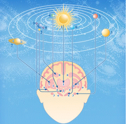マハリシ・ジョーティシュの脳と太陽系の対応図